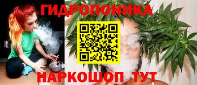 Альфа ПВП Моздок