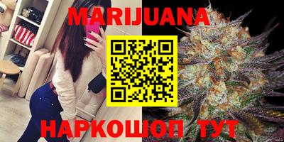 прущие крисы Можга