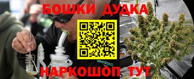 прущие крисы Можга
