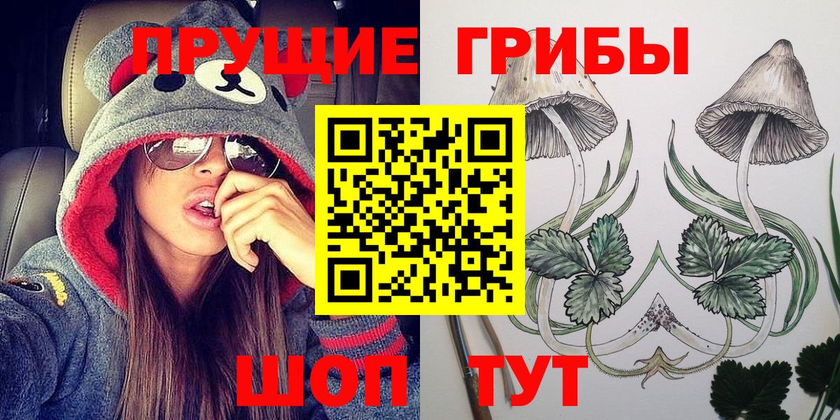 Торжок  Псилоцибиновые грибы GOLDEN TEACHER  Вход с VPN 